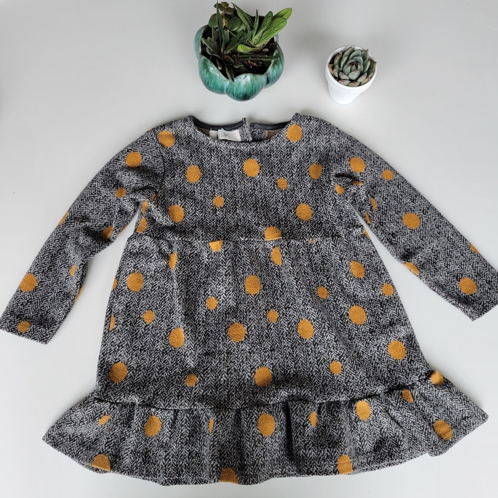 2-3 yr Zara Longsleeve Dress